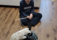 img (1)
